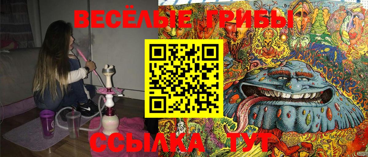 Галлюциногенные грибы Cubensis Магнитогорск