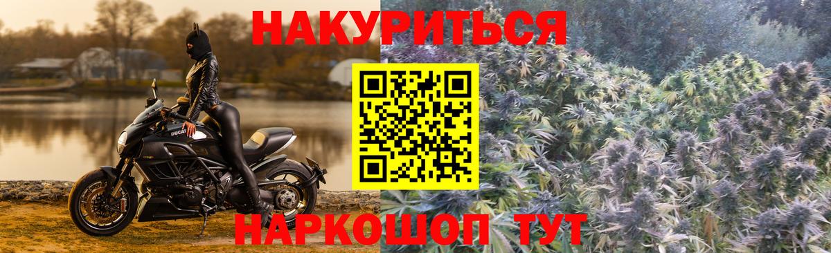 Каннабис ГИДРОПОН  Конопля Bruce Banner  Вход с VPN  Магнитогорск  Шишки марихуана планчик 